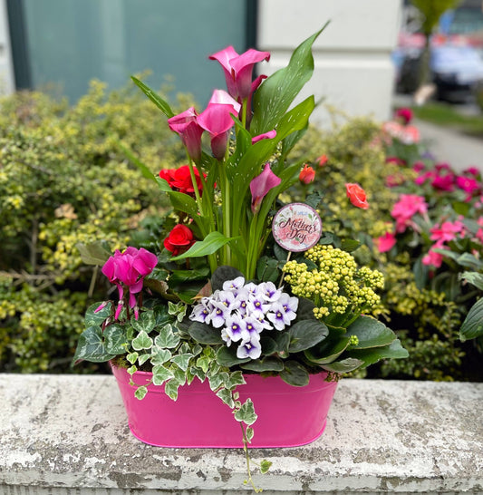 Mother's  Day Planter image 0